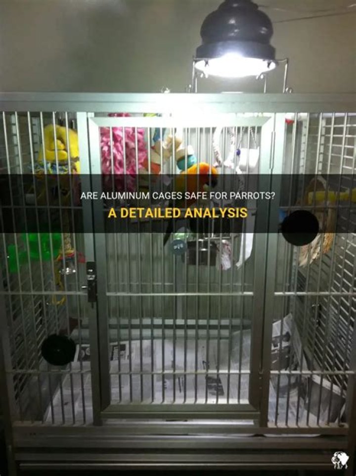 Are aluminum cages safe for parrots?
