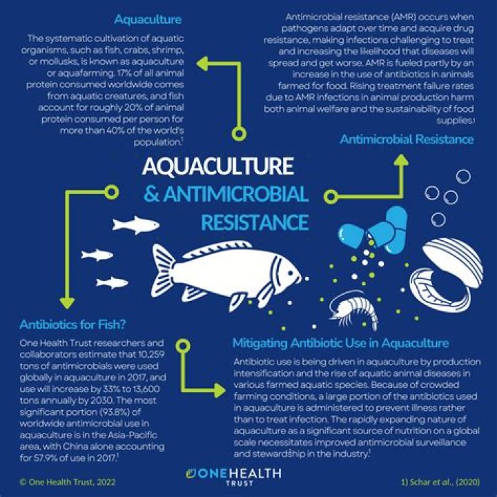 Are antibiotics used in fish farming?
