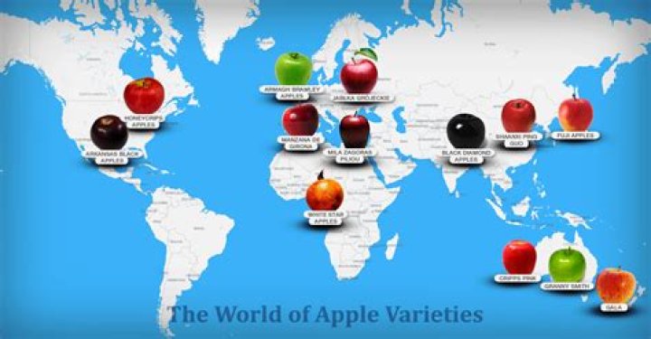 Are apples native to Canada?