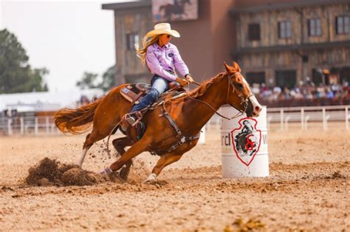 Are Arabians good for barrel racing?