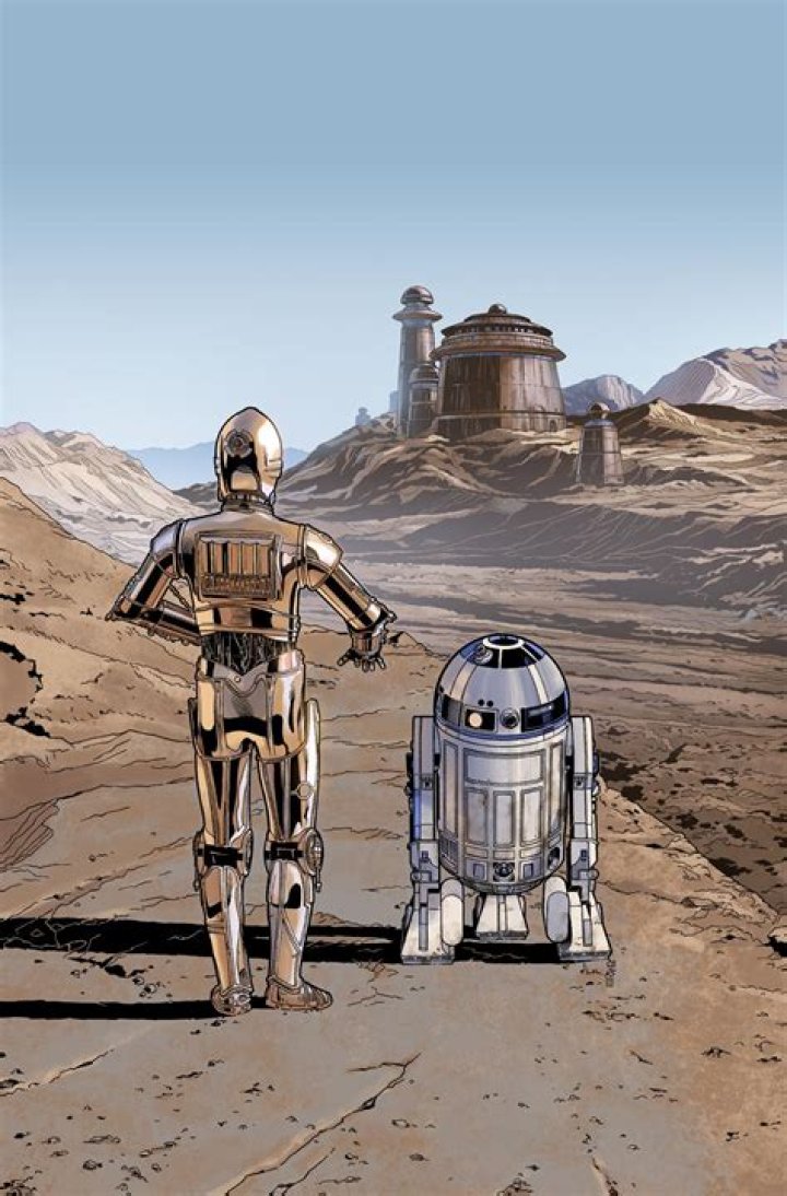 Are C3PO and R2D2 lovers?