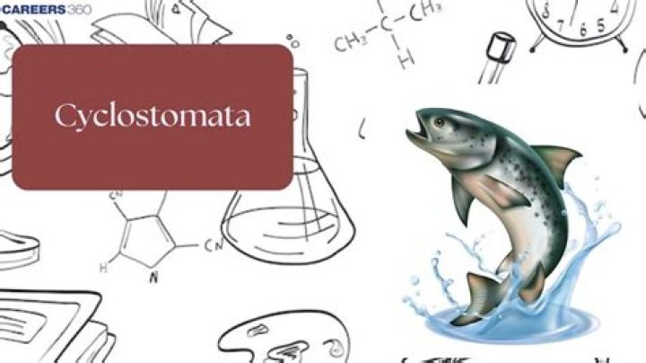 Are Cyclostomata warm blooded?