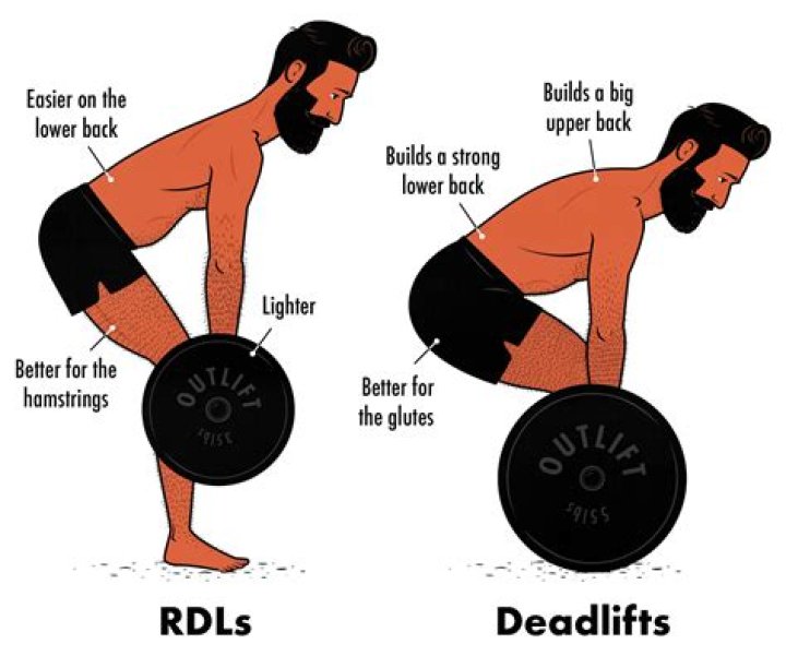 Are deadlifts supposed to work your lower back?