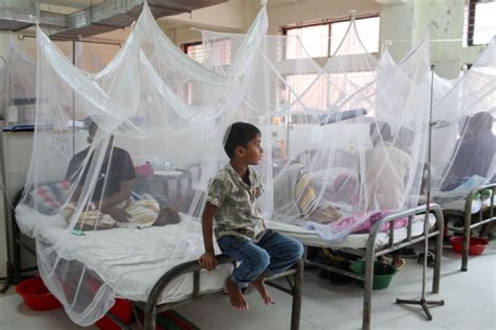 Are dengue patients isolated?