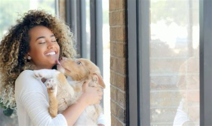 Are dog owners happier than non dog owners?