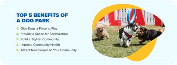 Are dog parks good for the community?