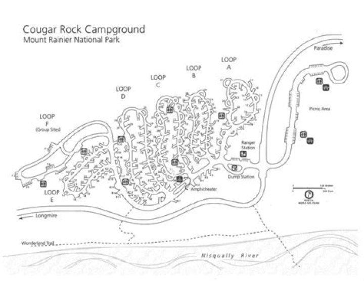 Are dogs allowed at Cougar Rock Campground?