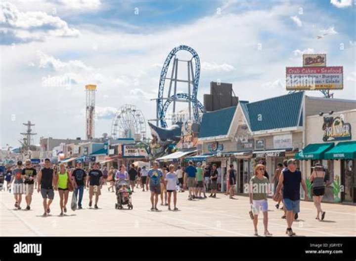 Are dogs allowed on Jersey Shore Boardwalk?