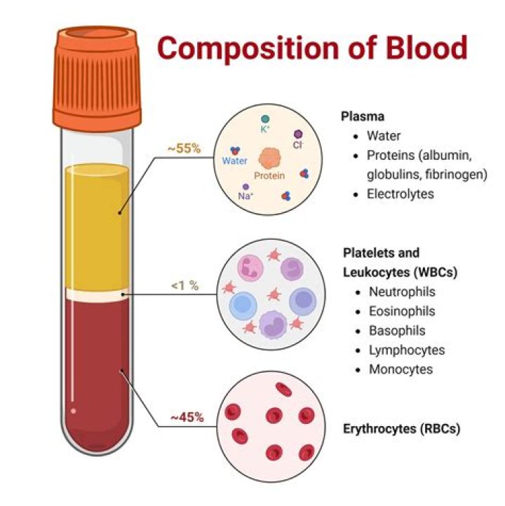 Are found in the blood and include sodium and potassium?