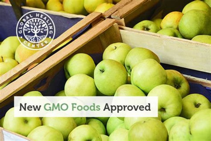 Are GMO foods FDA approved?