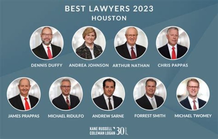 Are lawyers good for society?