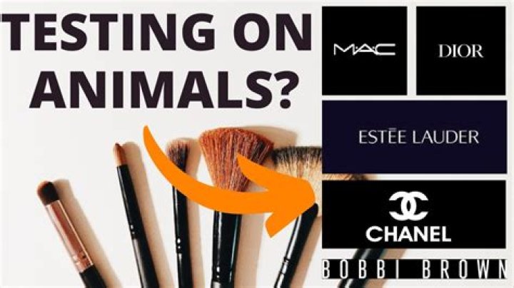 Are makeup brushes tested on animals?