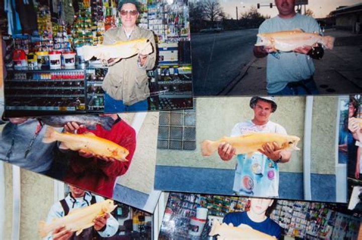 Are palomino trout good to eat?