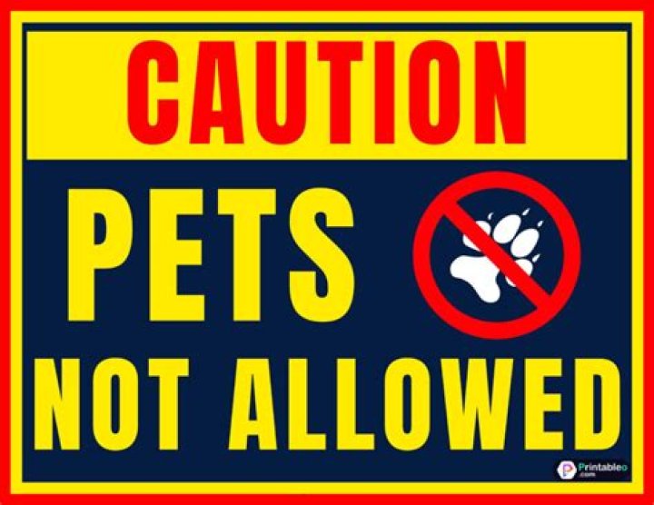Are pets allowed at the Alamo?