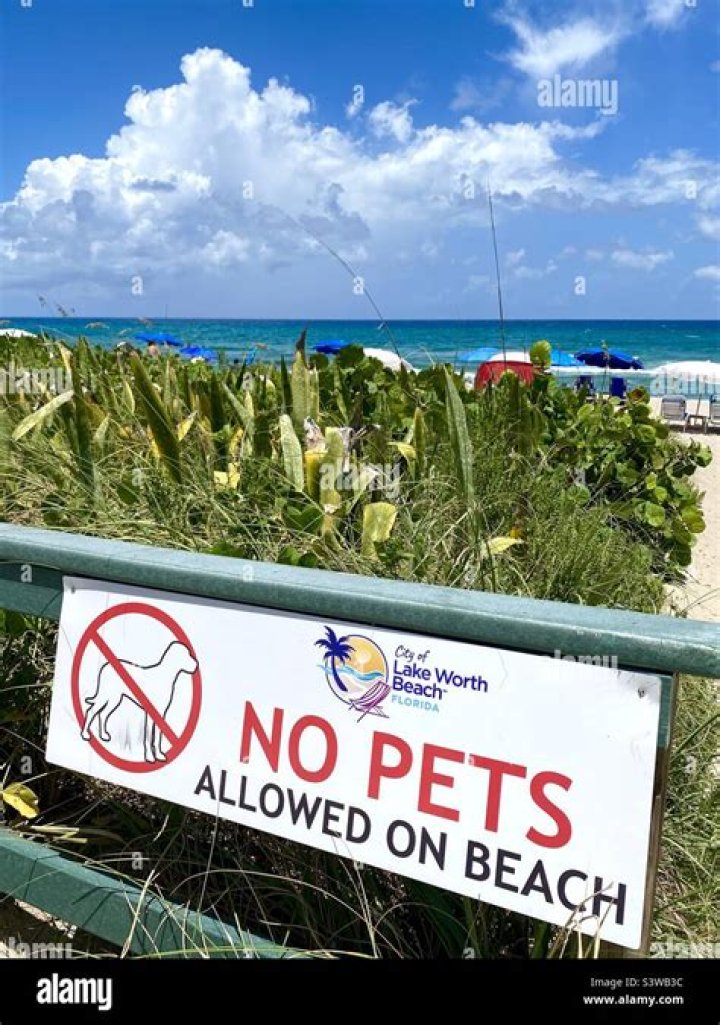 Are pets allowed at VA Beach?