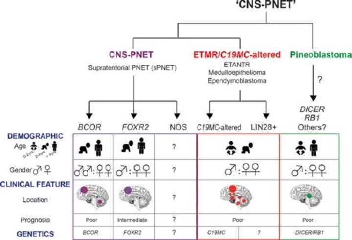 Are PNet tumors hereditary?