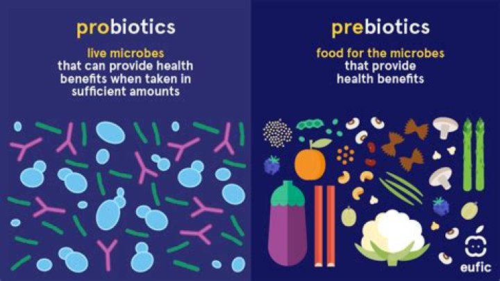 Are prebiotics harmful to gut microbiota?