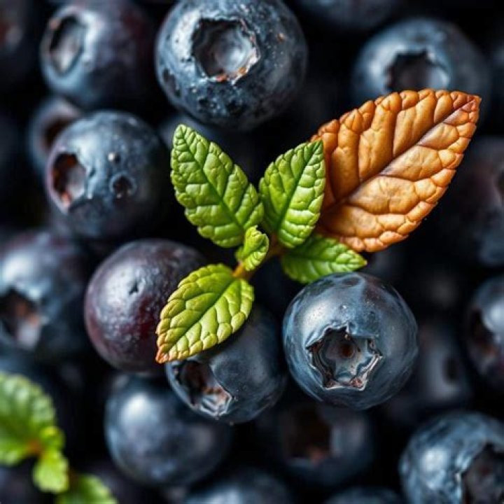 Are Saskatoon berries as healthy as blueberries?