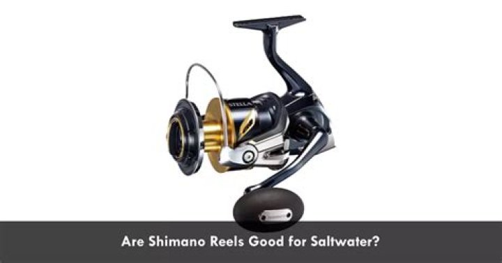 Are Shimano reels good?