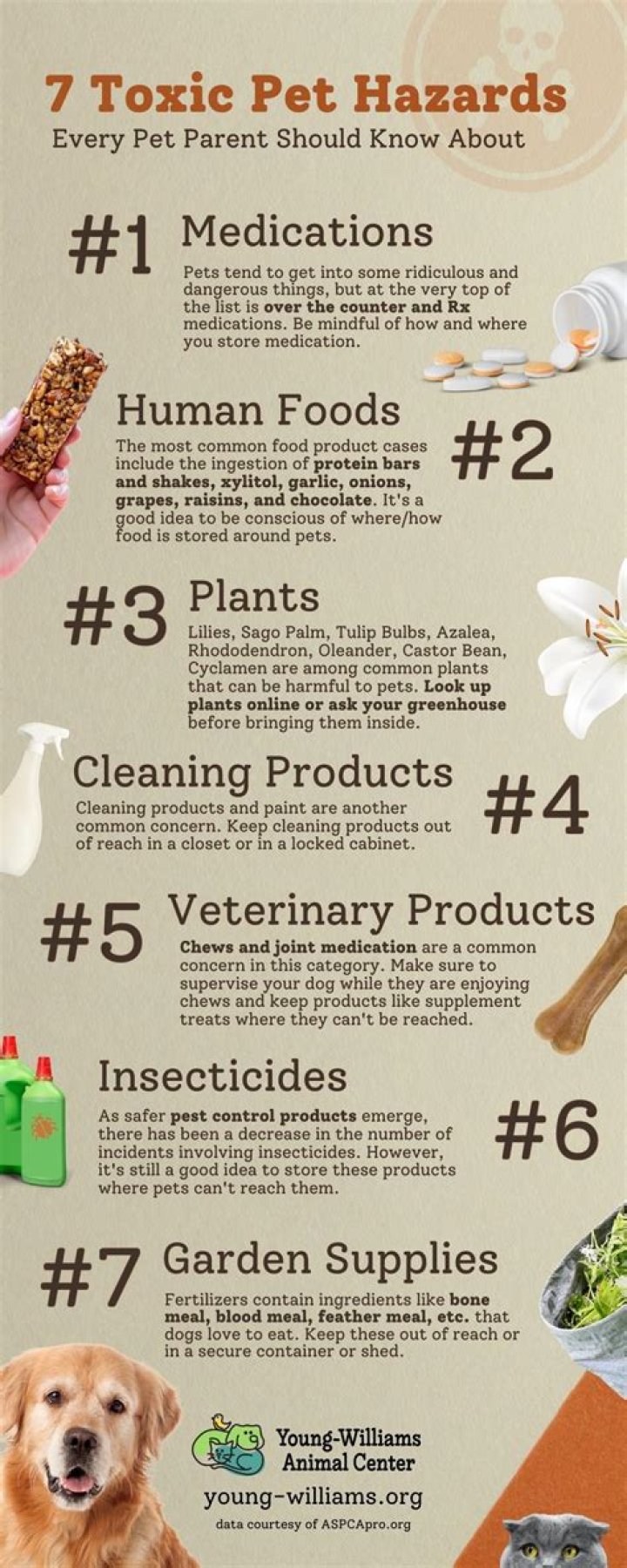 Are smoke bombs toxic to dogs?