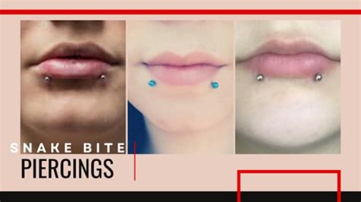 Are snake bites body piercings?