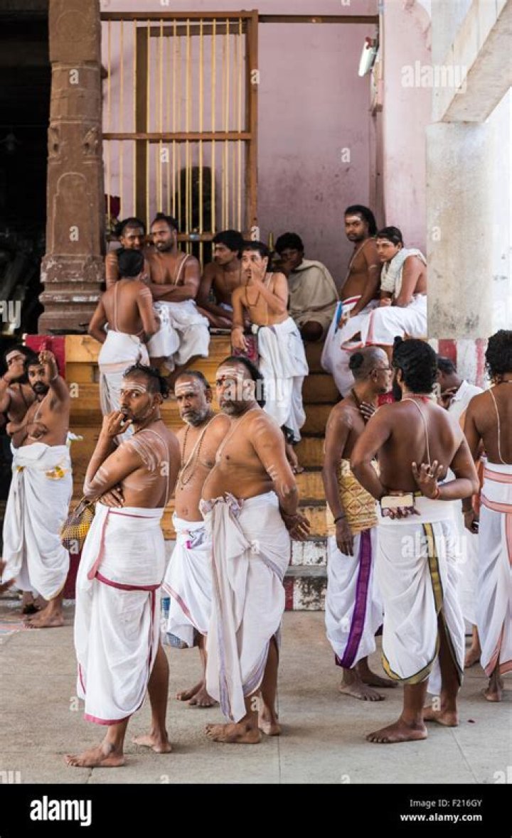 Are South Indian Brahmins Dravidians?