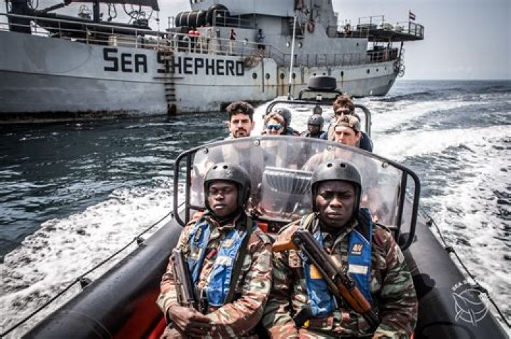 Are the Sea Shepherds terrorists?