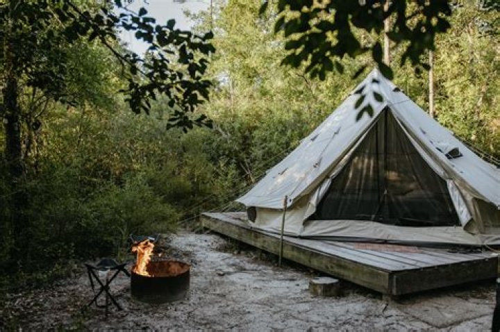 Are there alligators at Fort Pickens Campground?