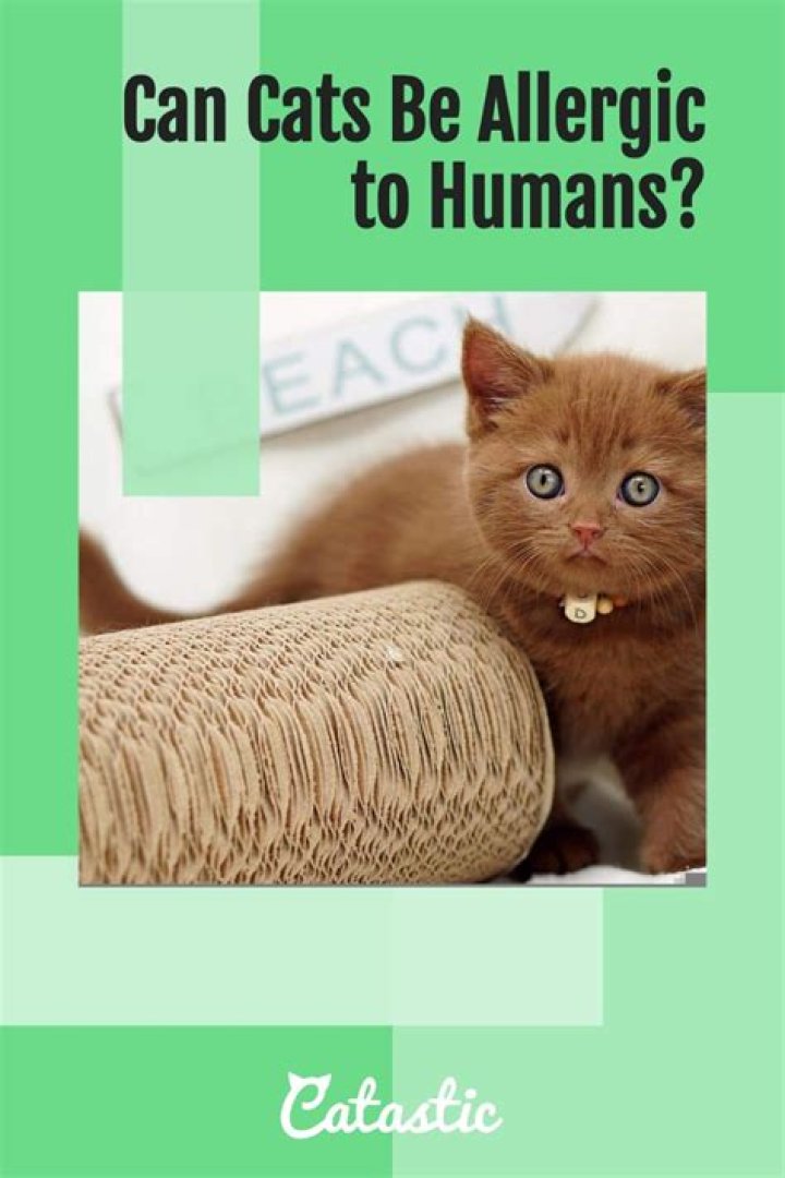 Are there any animals allergic to humans?
