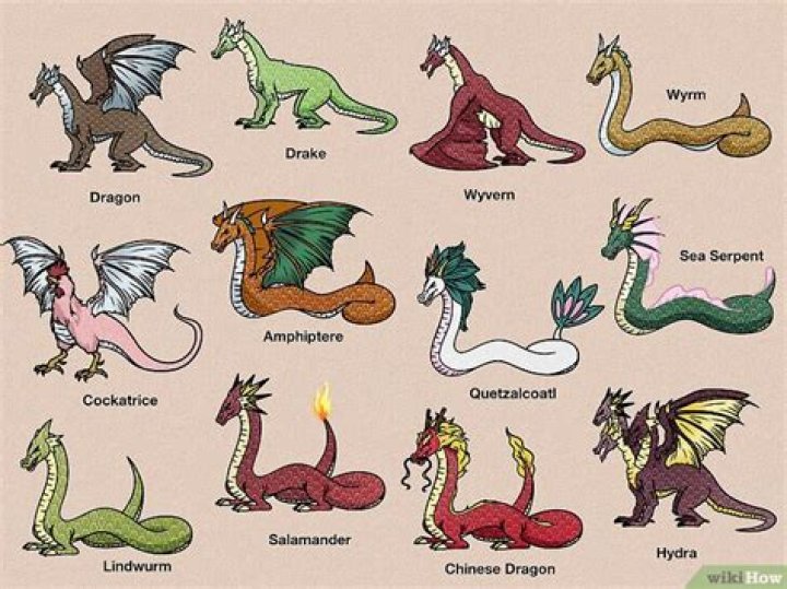 Are there dragons in Australia?