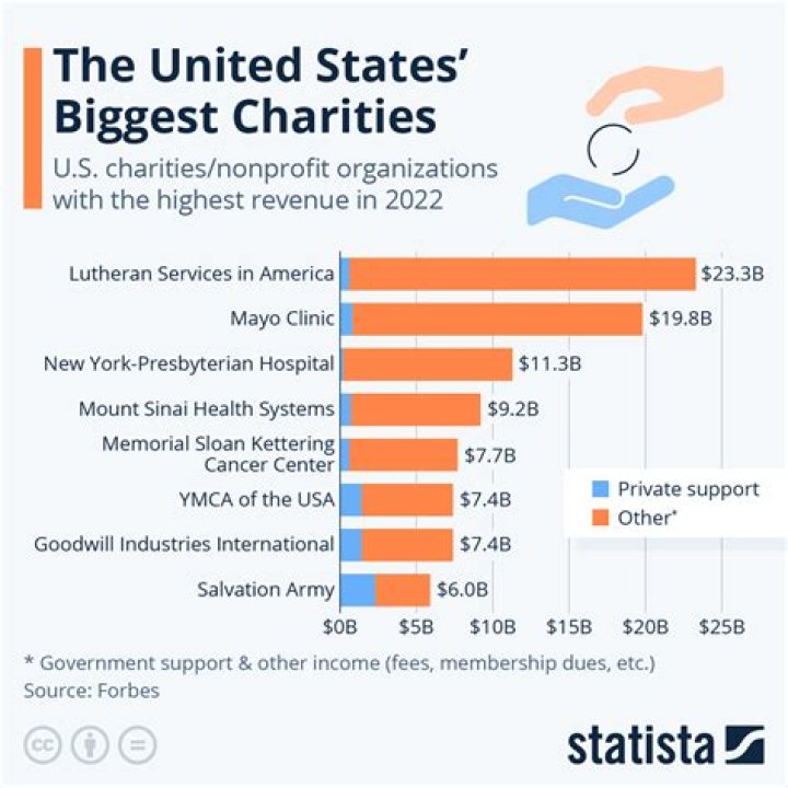 Are there for profit charities?