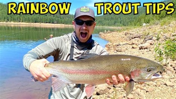 Are there rainbow trout in Lake Michigan?