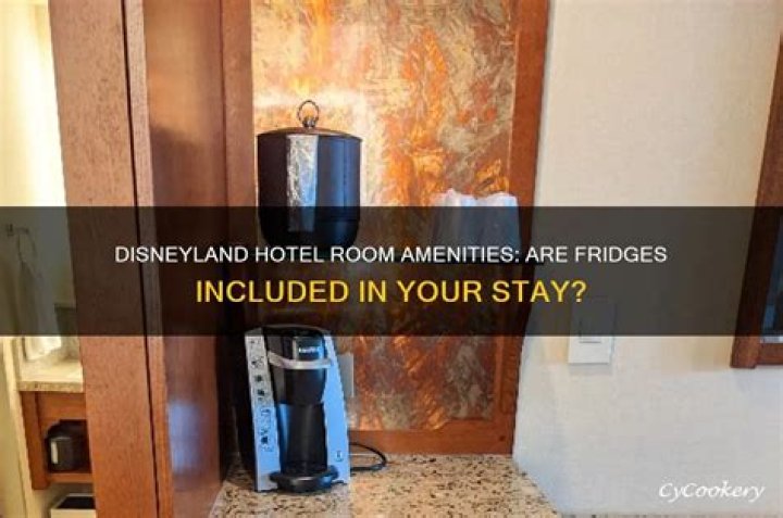 Are there refrigerators in Disneyland hotel rooms?