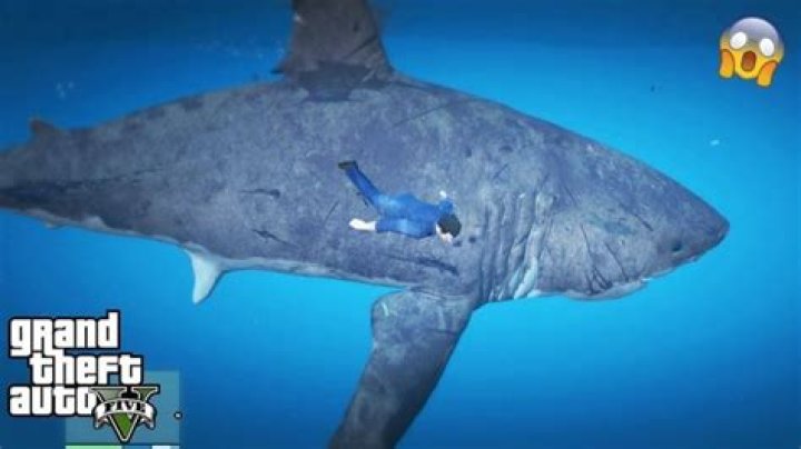 Are there sharks in GTA 5 Online ps4?