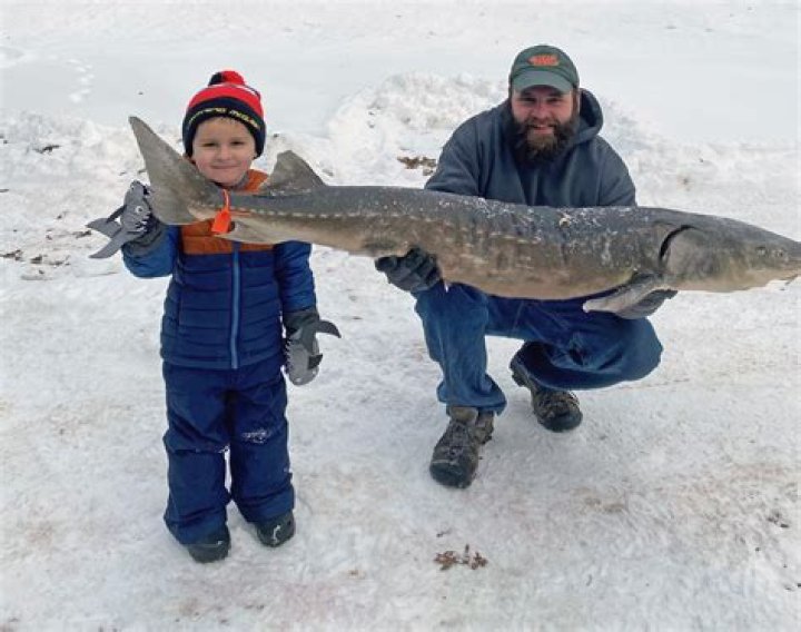 Are there sturgeon in Black Lake?