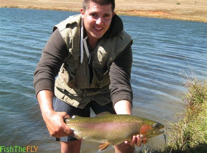 Are there trout in South Africa?