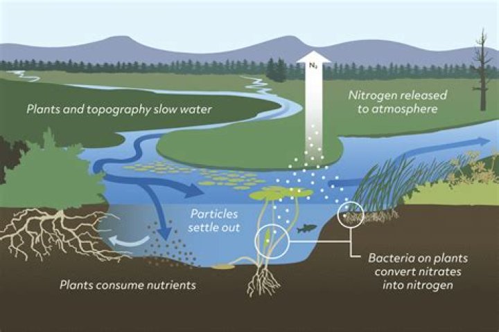 Are there water purification plants?