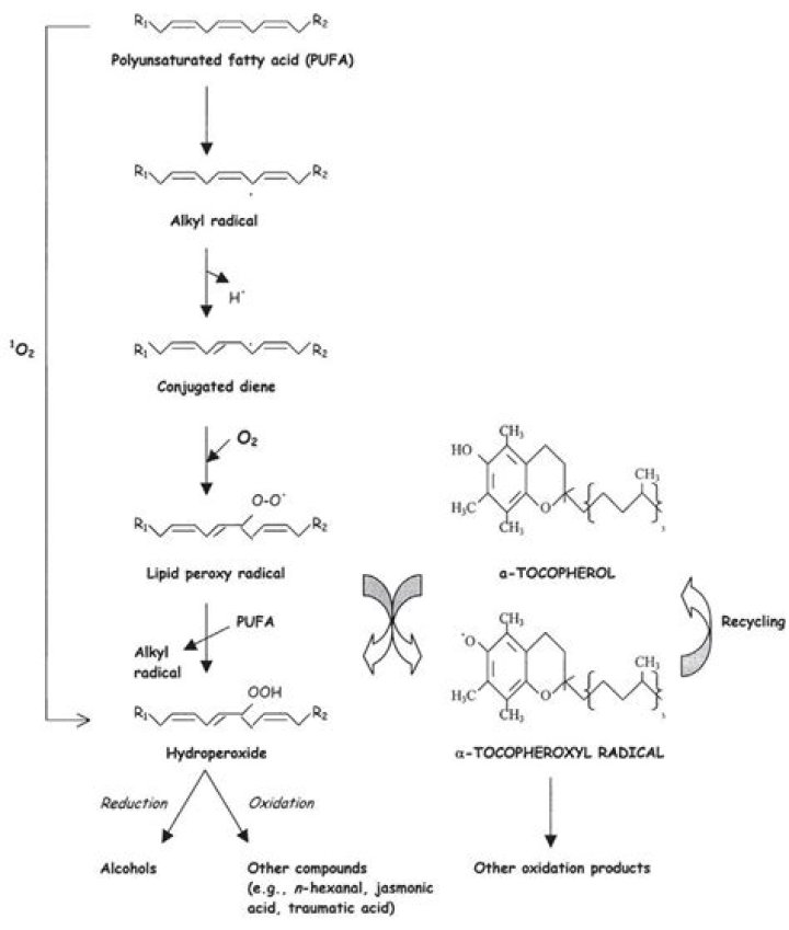 Are tocopherols harmful?
