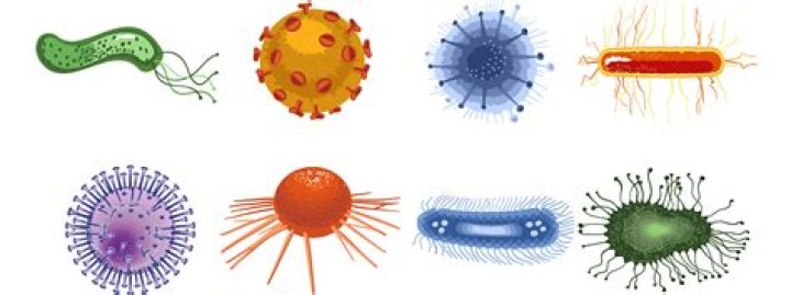 Are viruses considered microorganisms?