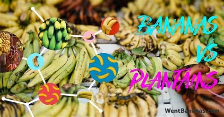 Are wild bananas poisonous?