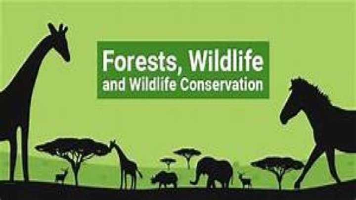 Are wildlife natural resources?