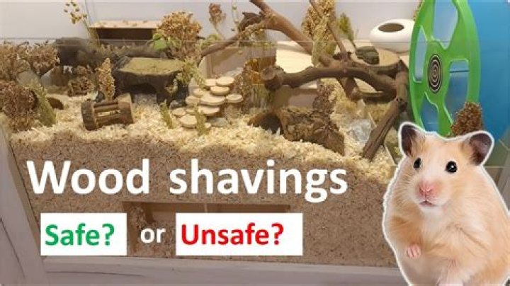 Are wood shavings safe for hamsters?
