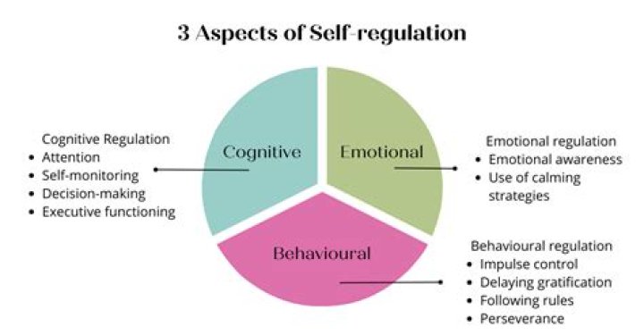 At what age can a child self regulate?