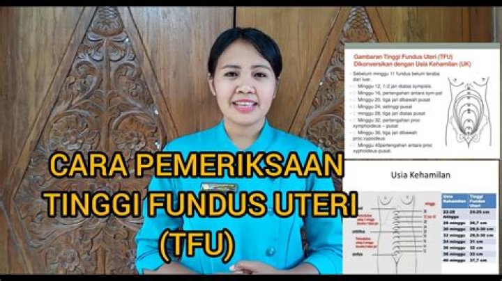 Bagaimana cara mengukur tinggi fundus?