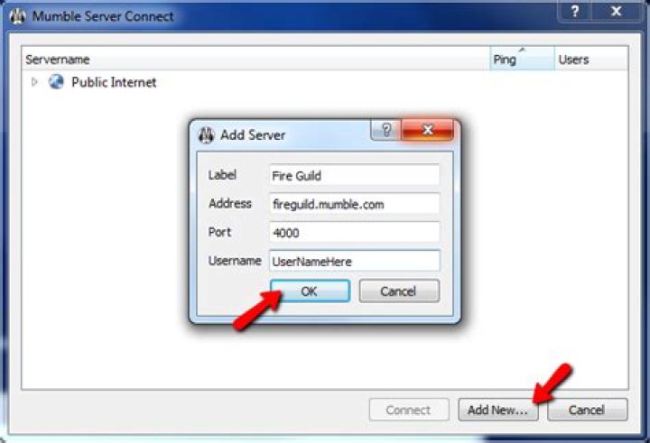 Can't connect to mumble server?