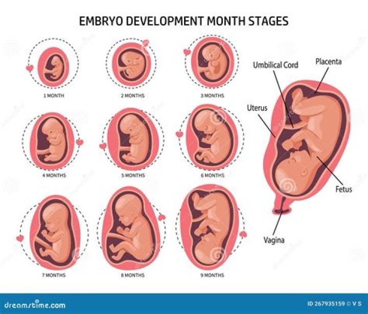 Can a baby get GBS in the womb?