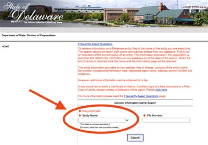 Can a Delaware LLC issue shares?