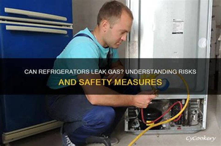 Can a refrigerator leak gas?