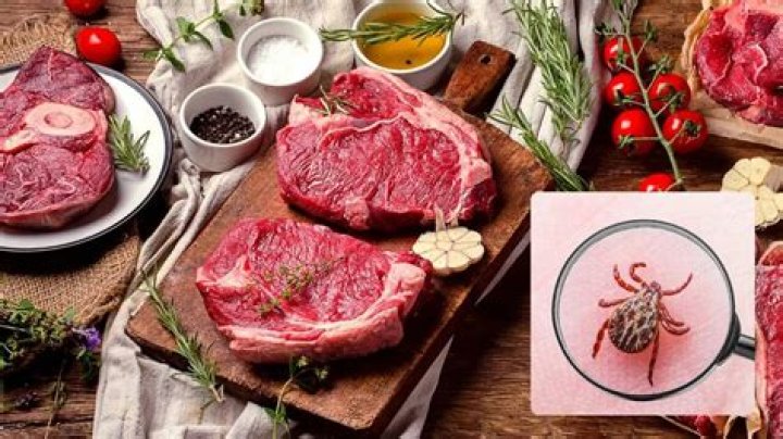 Can a tick make you allergic to red meat?