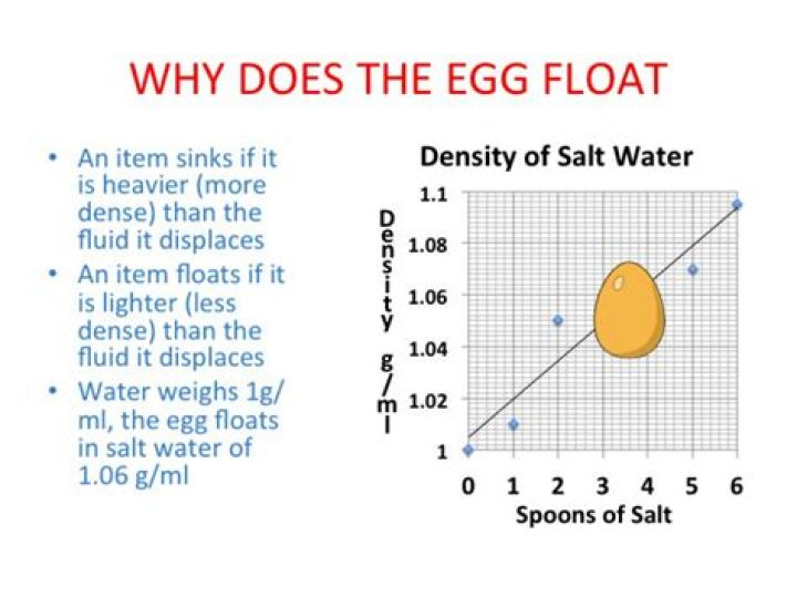 Can an egg float in saltwater hypothesis?